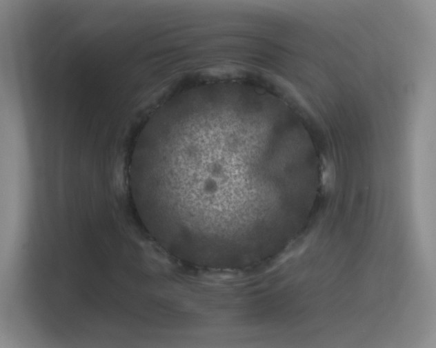 X0000114390819200910231015