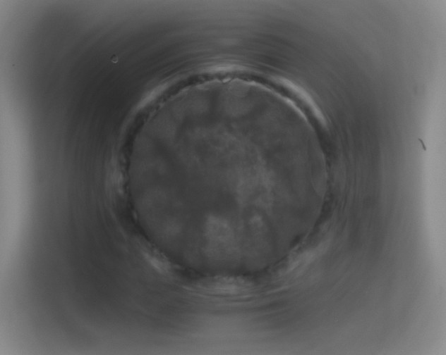 X0000114390823200910231015