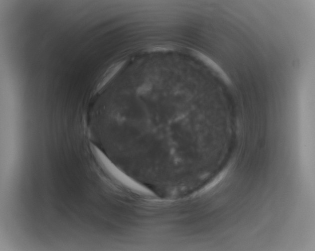 X0000114390825200910231015