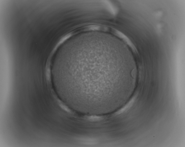 X0000114390827200910231015