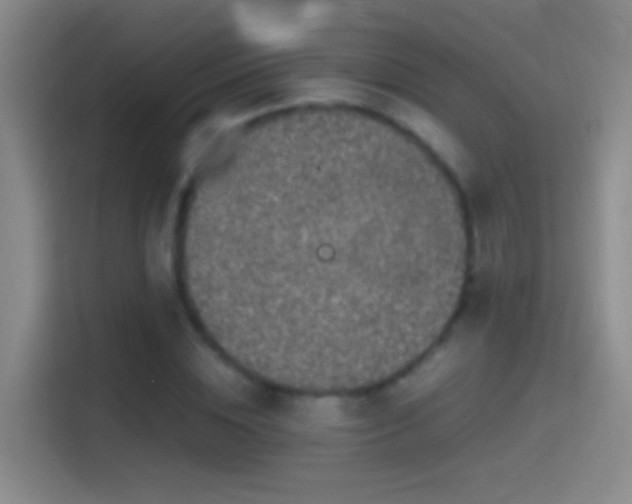 X0000114390828200910231015