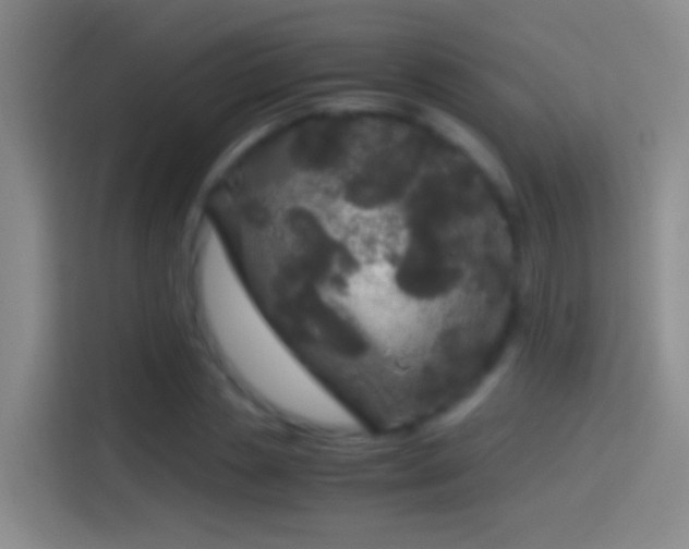 X0000114390829200910231015