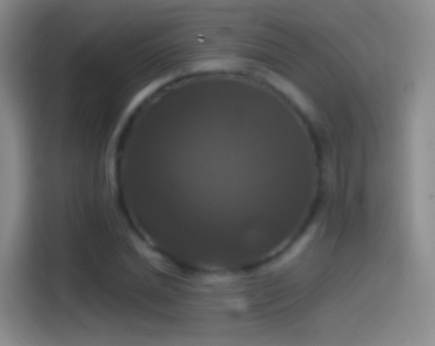 X0000114390830200910231015