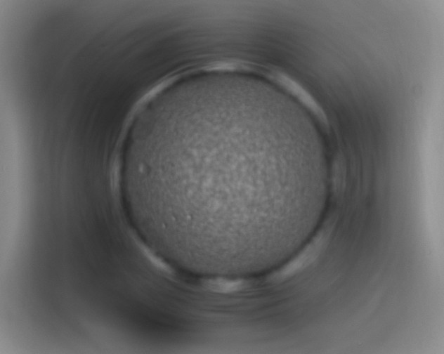 X0000114390831200910231015
