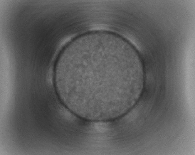 X0000114390832200910231015
