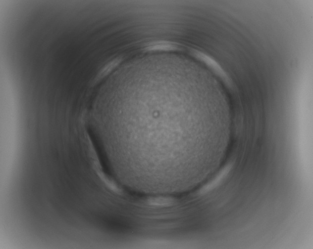 X0000114390833200910231015