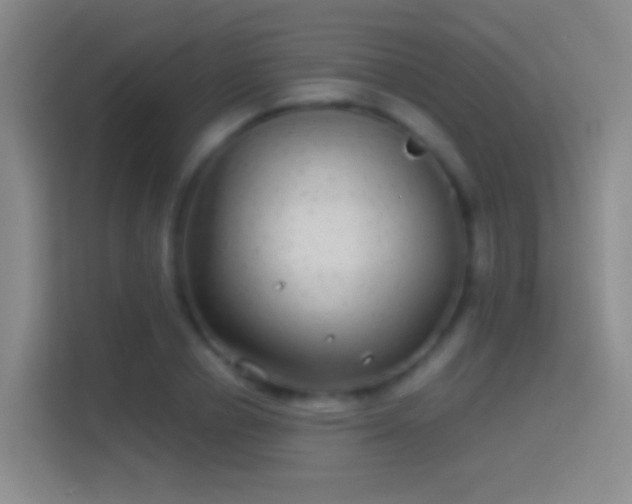 X0000114390834200910231015