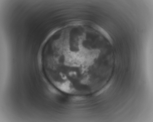 X0000114390835200910231015