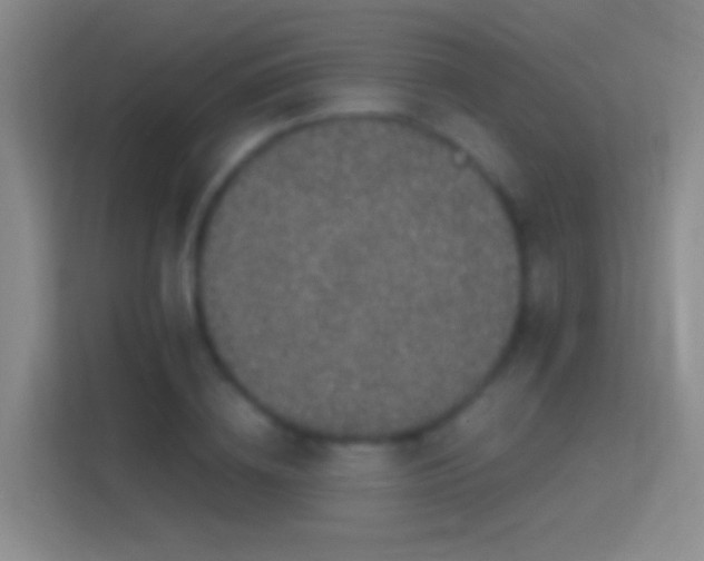 X0000114390836200910231015