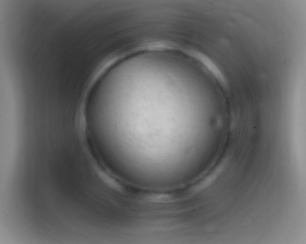 X0000114390837200910231015