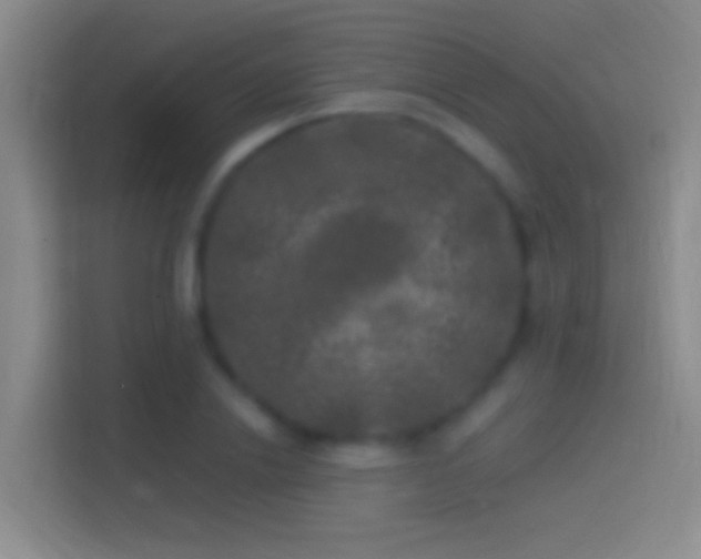 X0000114390838200910231015