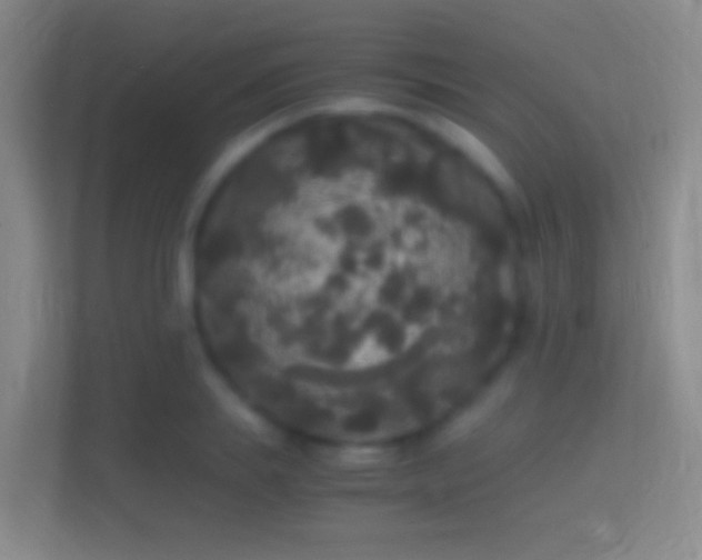 X0000114390839200910231015