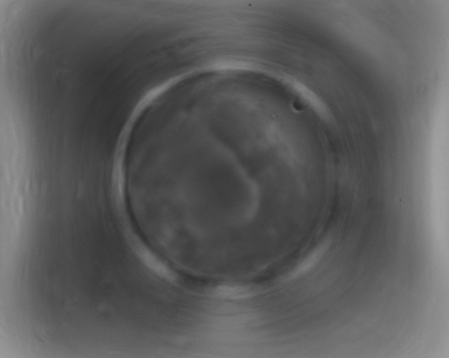 X0000114390840200910231015