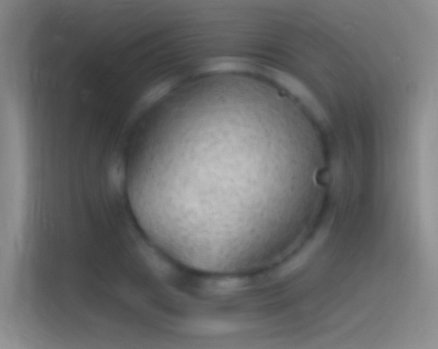 X0000114390841200910231015