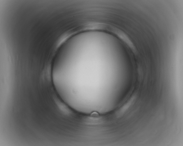 X0000114390842200910231015