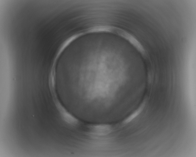 X0000114390844200910231015