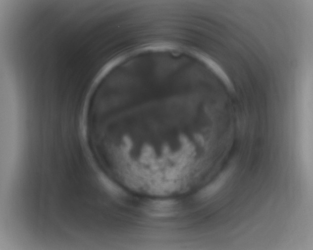 X0000114390845200910231015