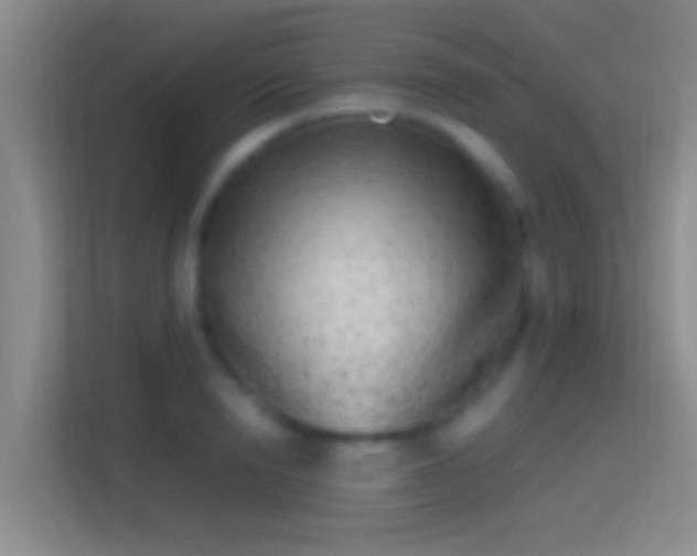 X0000114390846200910231015