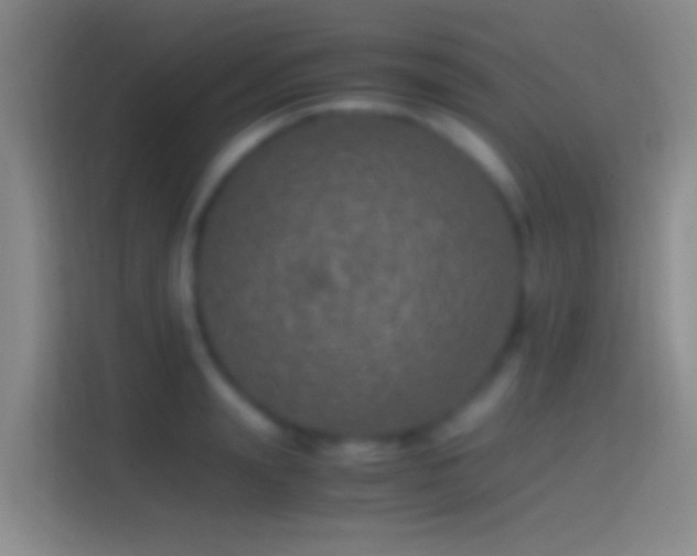 X0000114390847200910231015