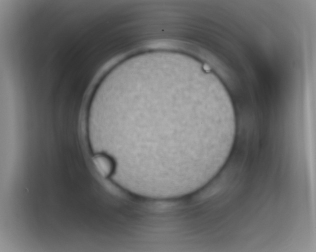 X0000114390848200910231015