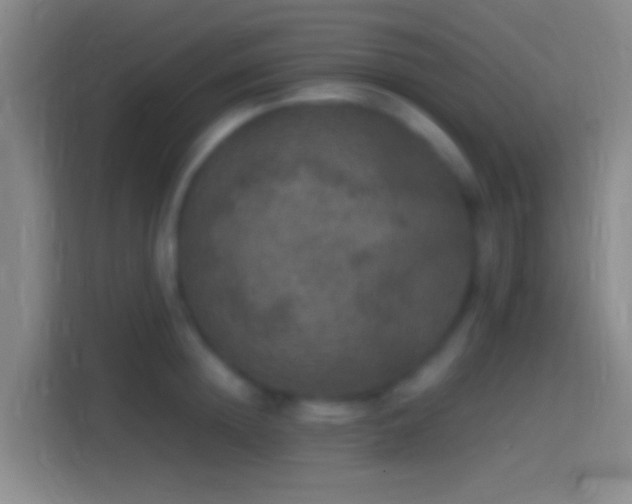 X0000114390852200910231015