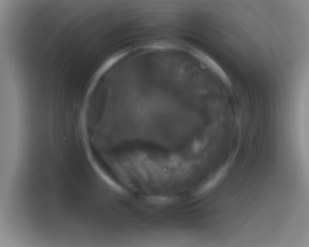 X0000114390855200910231015