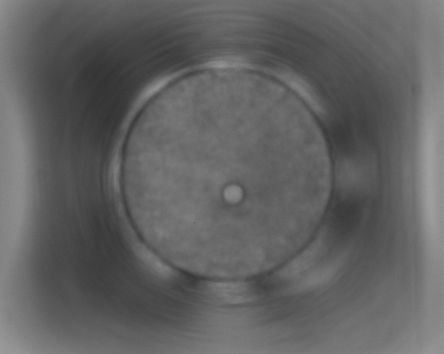 X0000114390856200910231015