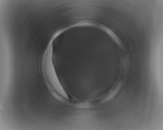 X0000114390858200910231015