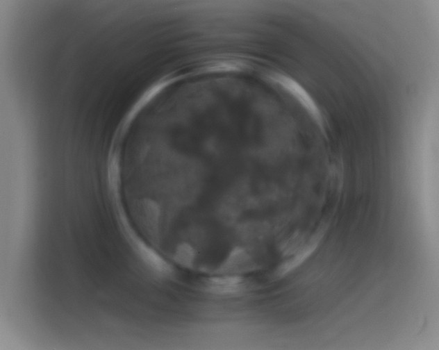 X0000114390859200910231015