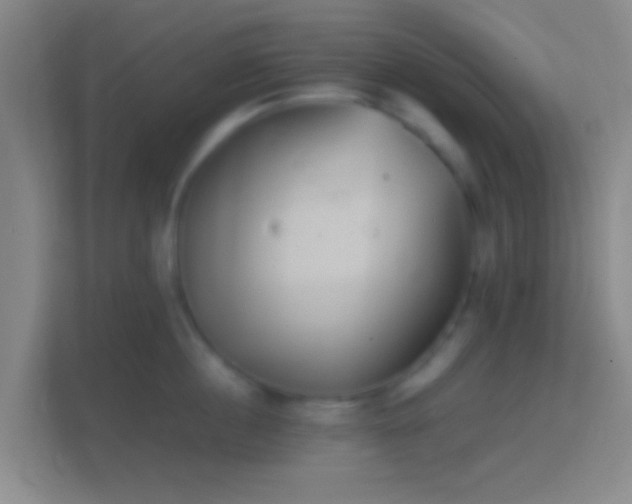 X0000114390860200910231015