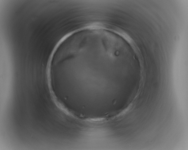 X0000114390864200910231015