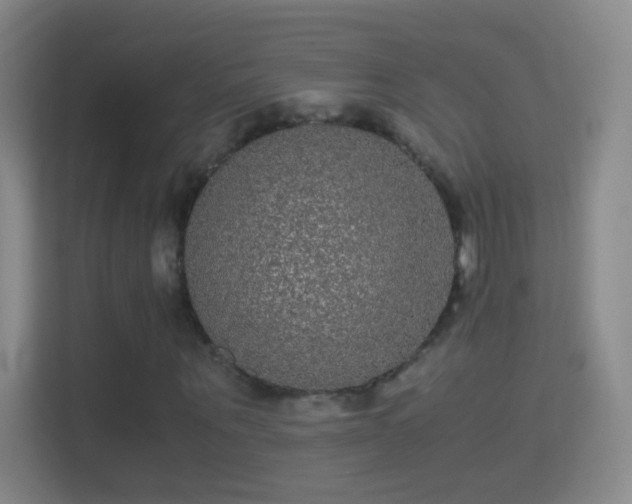 X0000114390867200910231015