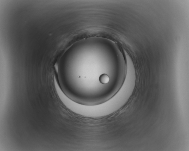 X0000114390868200910231015