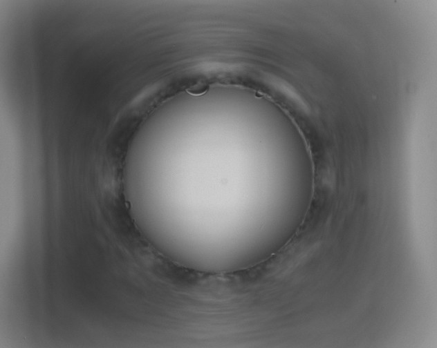 X0000114390869200910231014