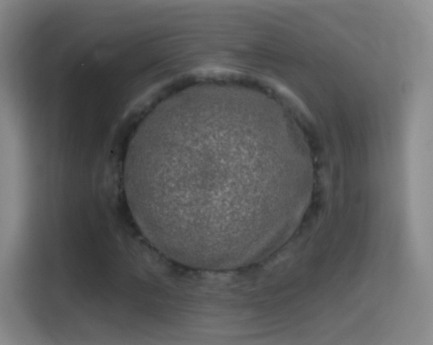 X0000114390870200910231014