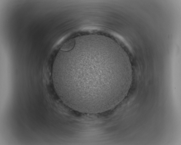 X0000114390871200910231014