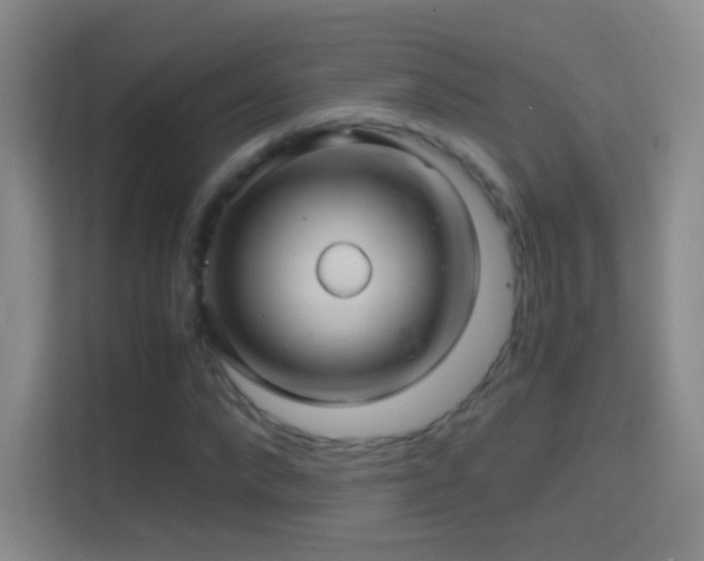 X0000114390872200910231014