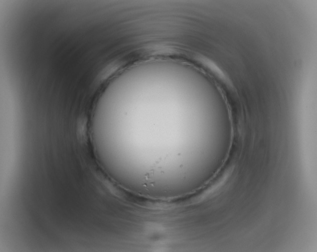 X0000114390873200910231014