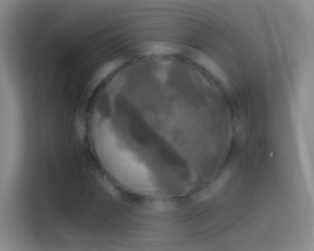 X0000114390874200910231014