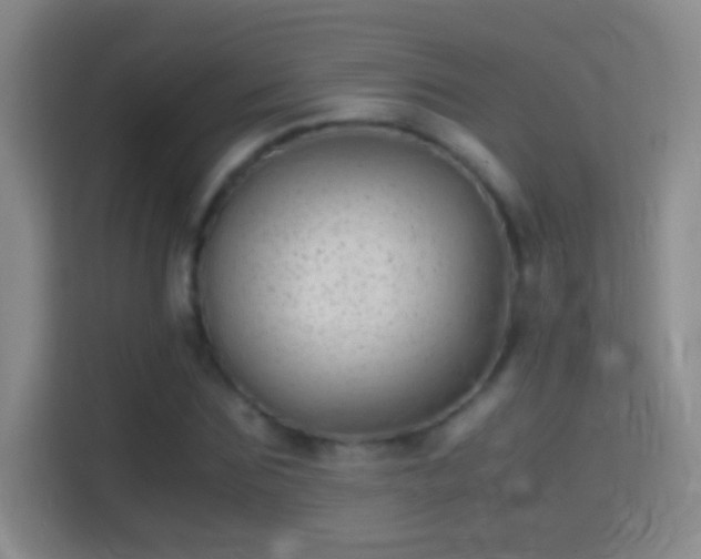 X0000114390875200910231014