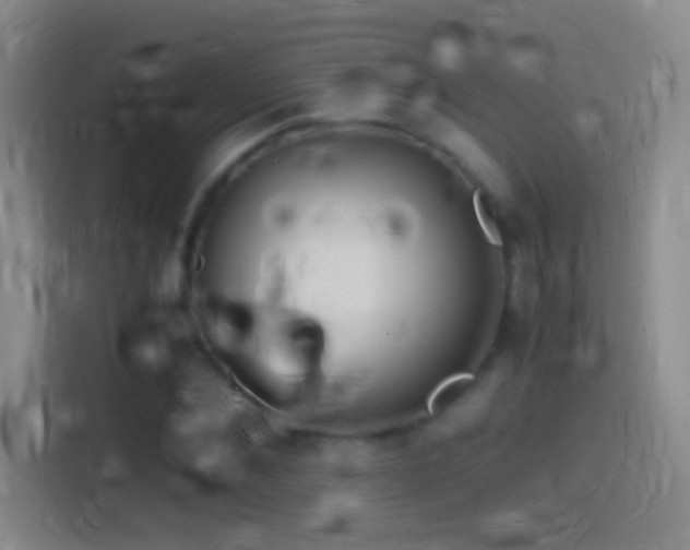 X0000114390876200910231014