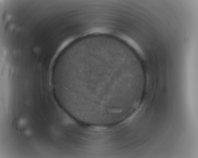 X0000114390878200910231014