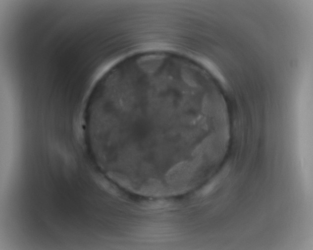 X0000114390879200910231014