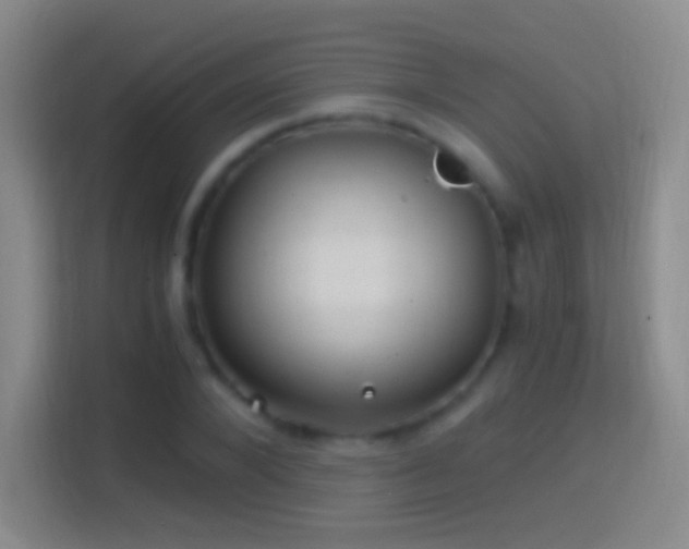 X0000114390880200910231014