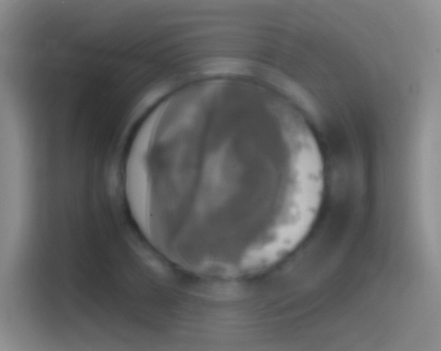 X0000114390882200910231014