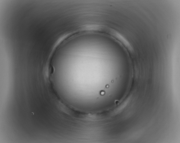 X0000114390883200910231014
