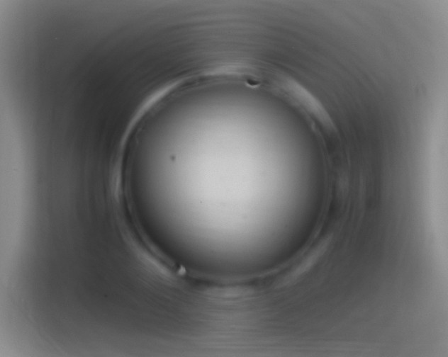 X0000114390884200910231014
