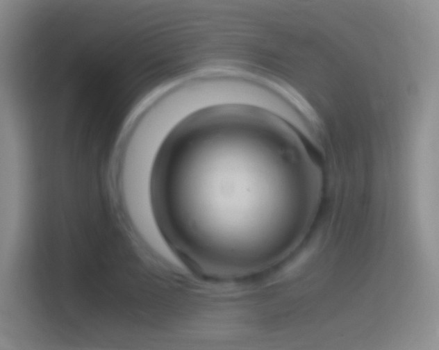 X0000114390885200910231014