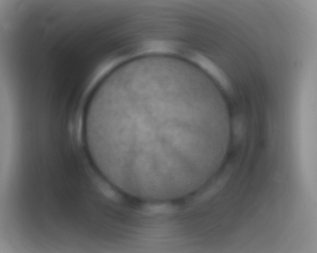 X0000114390886200910231014
