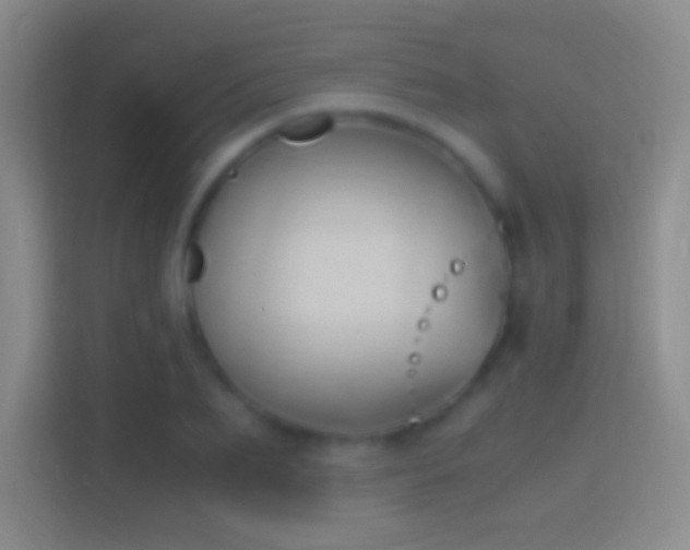 X0000114390887200910231014